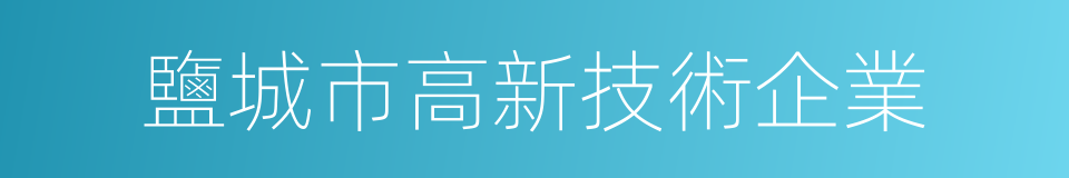 鹽城市高新技術企業的同義詞