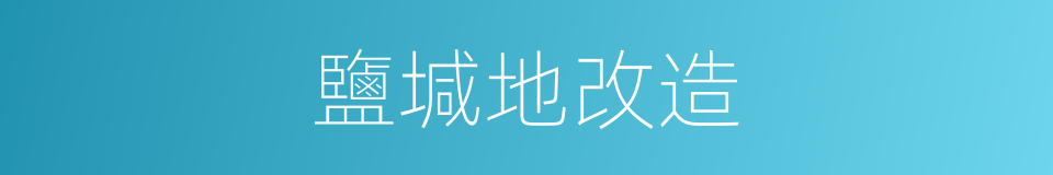 鹽堿地改造的同義詞