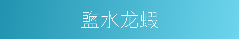鹽水龙蝦的同義詞