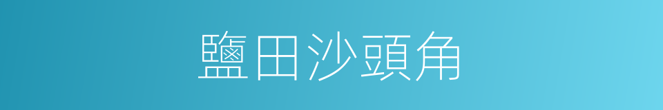 鹽田沙頭角的同義詞