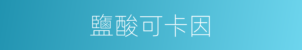鹽酸可卡因的同義詞