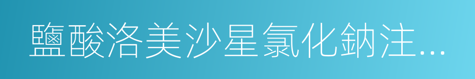 鹽酸洛美沙星氯化鈉注射液的同義詞