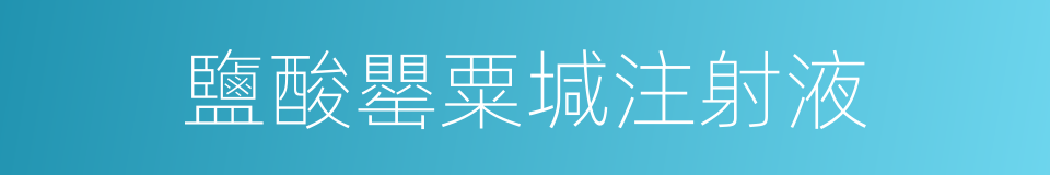 鹽酸罌粟堿注射液的同義詞