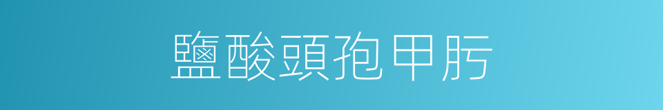 鹽酸頭孢甲肟的同義詞