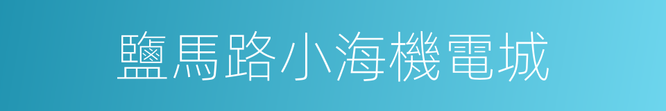 鹽馬路小海機電城的同義詞