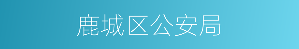 鹿城区公安局的同义词