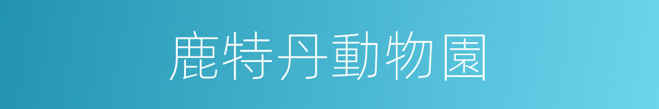 鹿特丹動物園的同義詞