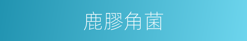 鹿膠角菌的同義詞