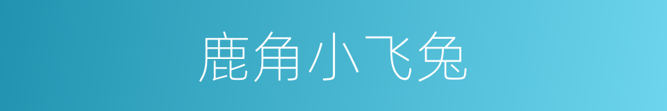 鹿角小飞兔的同义词