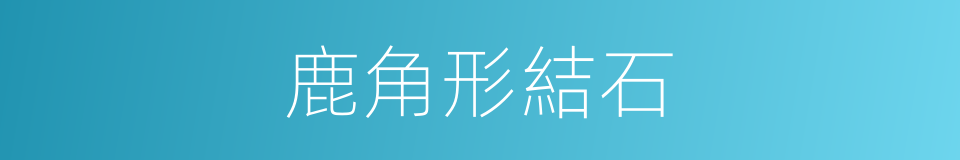 鹿角形結石的同義詞