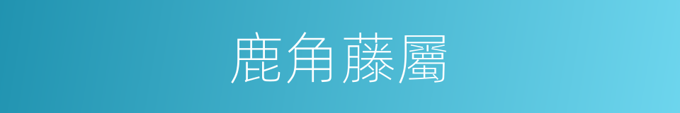 鹿角藤屬的同義詞
