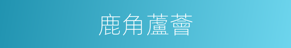 鹿角蘆薈的同義詞