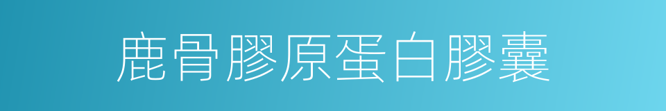 鹿骨膠原蛋白膠囊的同義詞