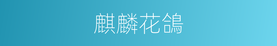 麒麟花鴿的同義詞