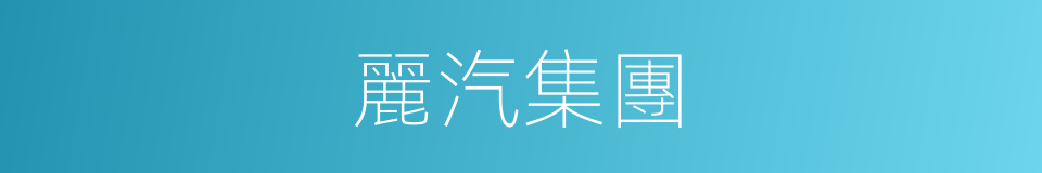 麗汽集團的同義詞
