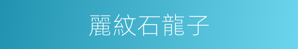 麗紋石龍子的同義詞