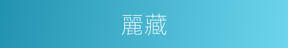 麗藏的意思