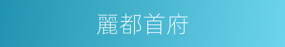 麗都首府的同義詞