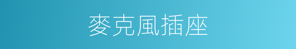 麥克風插座的同義詞