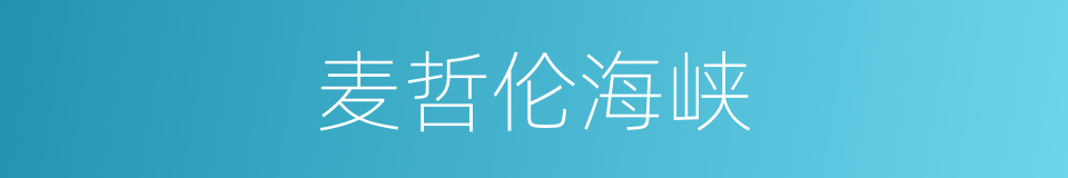 麦哲伦海峡的同义词