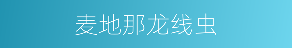 麦地那龙线虫的同义词