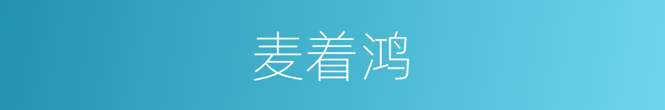 麦着鸿的同义词