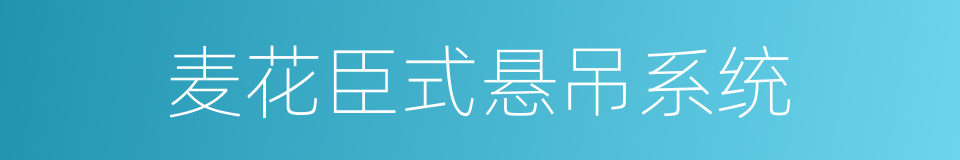 麦花臣式悬吊系统的同义词