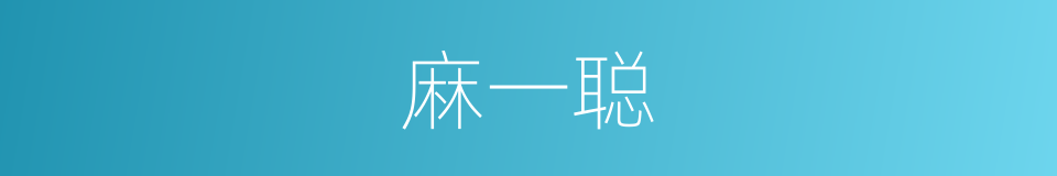 麻一聪的同义词