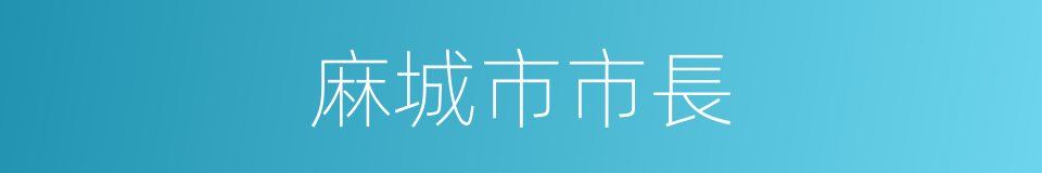 麻城市市長的同義詞