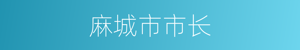 麻城市市长的同义词