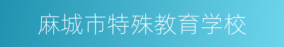 麻城市特殊教育学校的同义词