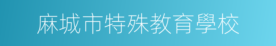 麻城市特殊教育學校的同義詞