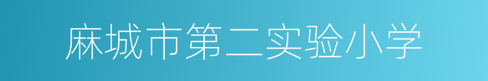 麻城市第二实验小学的同义词