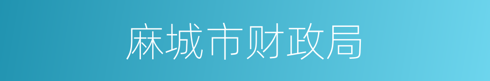 麻城市财政局的同义词