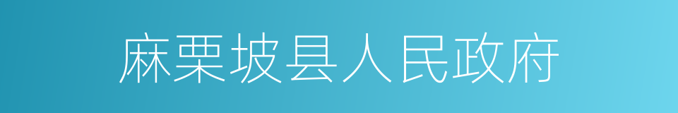 麻栗坡县人民政府的同义词