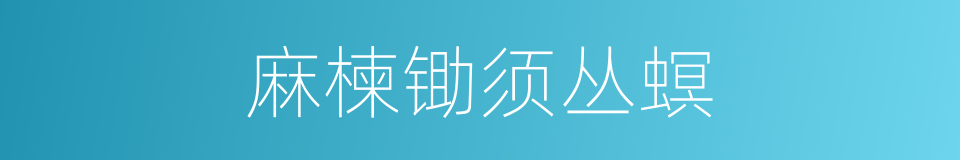 麻楝锄须丛螟的同义词