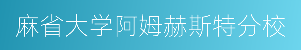 麻省大学阿姆赫斯特分校的同义词