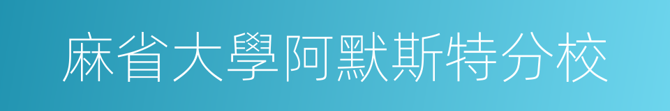 麻省大學阿默斯特分校的同義詞