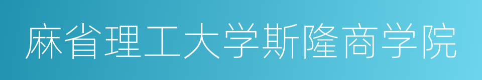 麻省理工大学斯隆商学院的同义词