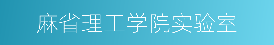 麻省理工学院实验室的同义词