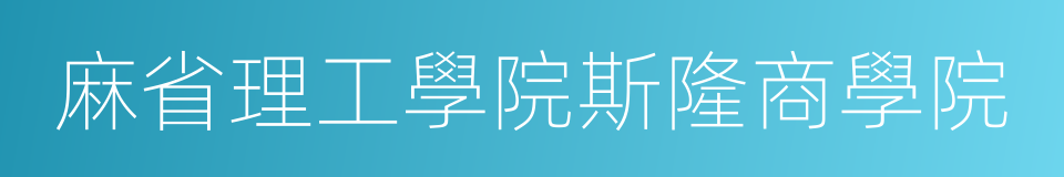 麻省理工學院斯隆商學院的同義詞