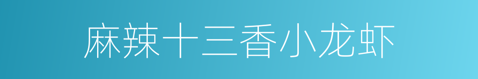 麻辣十三香小龙虾的同义词