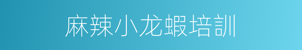 麻辣小龙蝦培訓的同義詞