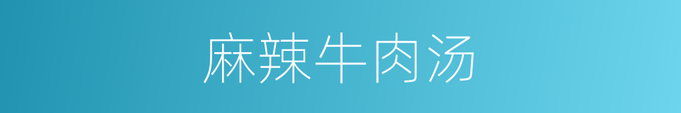 麻辣牛肉汤的同义词