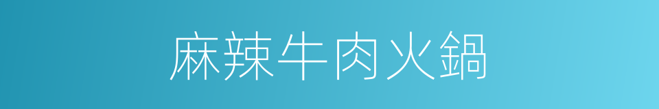 麻辣牛肉火鍋的同義詞