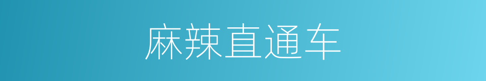 麻辣直通车的同义词