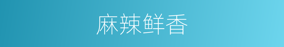 麻辣鲜香的同义词