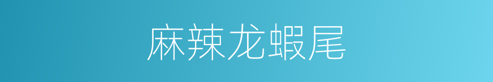 麻辣龙蝦尾的同義詞