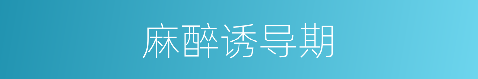 麻醉诱导期的同义词