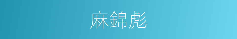 麻錦彪的同義詞